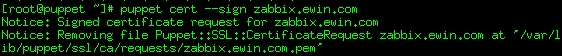 Puppet安装(二)：证书申请与签发插图4