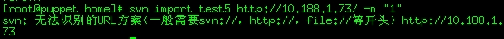Puppet整合SVN(一)：安装配置SVN插图