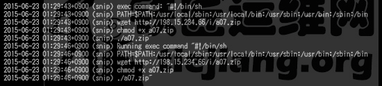 linux ddos恶意软件分析_https://www.tiejiang.org_Linux安全运维_第2张
