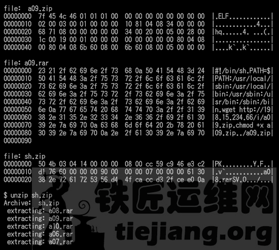 linux ddos恶意软件分析_https://www.tiejiang.org_Linux安全运维_第6张