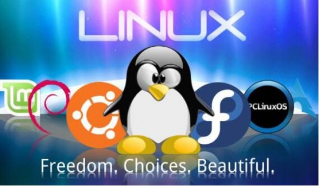 为什么高手离不了Linux系统？插图