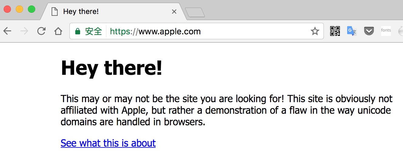 一种几乎无法被检测到的Punycode钓鱼攻击，Chrome、Firefox和Opera等浏览器都中招_https://www.tiejiang.org_漏洞播报_第1张