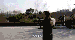 央视揭秘马云的菜鸟仓库，打开之后感觉中国黑科技已称霸世界_https://www.tiejiang.org_互联网最新资讯_第15张