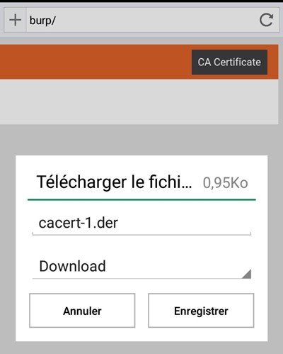 用Burpsuite测试移动应用程序_https://www.tiejiang.org_渗透注入_第10张