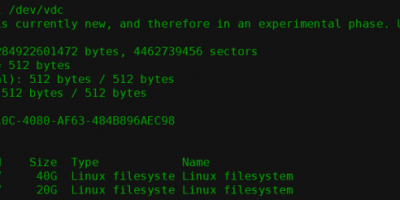 Linux磁盘MBR格式转换GPT